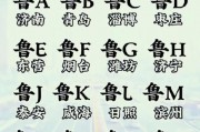 鲁D：山东豪车聚集地的车牌密码