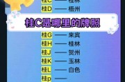 广西车牌代码：探寻各城市特色车牌背后的故事