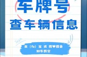 一招轻松查车牌号主人电话，隐私信息轻松获取！