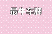 惊遇车牌靓号，路遇吉祥，好运连连！