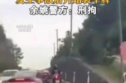 车牌不挂后果严重！不悬挂车牌的处罚措施