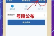 柳州车牌靓号代办服务，轻松拥有心仪号码！