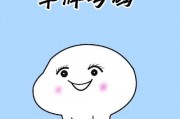 汽车牌照靓号选择：车主们心中的吉祥物””
