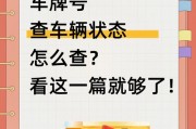 一招掌握！只需输入车牌号，轻松查询违章信息！