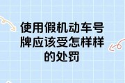车牌不用会怎样？不用车牌的惊人后果！