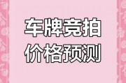 广州车牌黄金靓号”竞拍火爆，车牌价值再创新高！