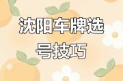 沈阳靓号车牌交易网：热门靓号车牌抢购指南