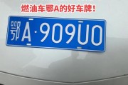 鄂A牌照，带你领略湖北武汉繁华风采！