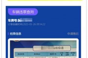 一键查询，快速掌握车牌号违章记录，告别罚单烦恼！