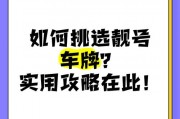 教你轻松挑出靓号车牌：技巧与秘籍大公开！