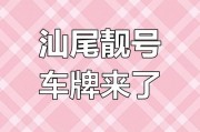 汕尾车牌靓号竟炒至百万，市民热议车牌收藏热潮