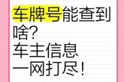 岑溪车牌靓号一网打尽，轻松查询心仪车牌！”