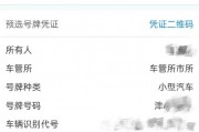 手机选车牌遇尴尬：不满意选项多，车主直呼头疼