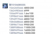 大连车牌靓号热抢：百万级别号码谁主沉浮？