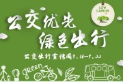 临沂新能源车牌新宠：靓号车牌引领绿色出行风尚