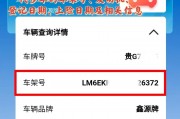 车牌号办理进度实时查询，轻松掌握最新动态