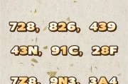 河南车牌靓号竞拍热潮：车牌背后的数字游戏