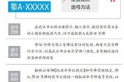 武汉车牌新规定：神秘字样引发热议，车牌文化再升级