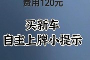上海购车牌照攻略：轻松获取车牌的秘诀！