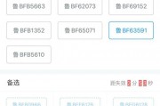 抢车牌靓号随机池来袭，你的专属车牌号就在眼前！”