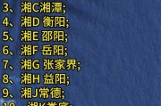 衡阳车牌号抢手自选，车主热议车牌文化新风尚