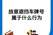 全国交警忌惮的神秘车牌，其背后惊人背景！