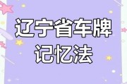 大连车牌靓号吧：探寻城市专属风采的数字印记