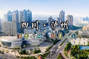 泸车牌照：探寻属于泸州这座城市的独特标识