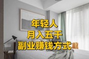临时车牌变身赚钱利器，教你轻松实现月入过万！