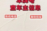 如何挑选心仪的靓号车牌：大众车主的选号攻略