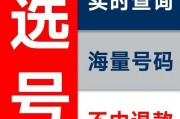 安徽芜湖车牌价格：你可知入手需花费多少？