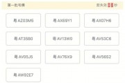 广州车牌靓号，最佳选择之道