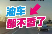 油车牌照保留期限新规出炉，车主们注意了！