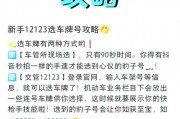 抢手东北车牌靓号，独家官网出售，速度来选！