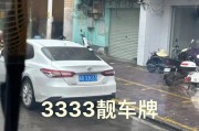 濮阳车牌靓号3333：车牌中的吉祥物