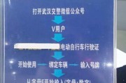 武汉电动车牌查询攻略：轻松获取最新车牌信息
