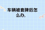 轻松上路，车牌背后必备证件大！