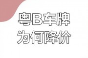 惠州车牌靓号抢购热潮：一牌难求，车主们争相竞拍！