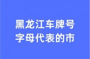 2014年9月车牌：见证城市繁华变迁的见证者