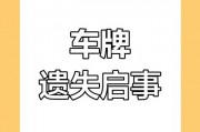 车牌不翼而飞，紧急报警！教你一招找回爱车