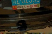 2016年度十大步兵车牌号盘点：热门车牌背后的故事