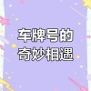 梦境奇缘：我梦到拍下车牌靓号的神奇经历