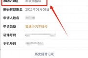 深圳车牌靓号摇号，个人资格
