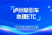 泸州车主福音！网上选车牌号服务正式上线，便捷高效新体验！