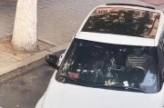 车牌神秘失踪！18kvkv引发网友热议，真相竟如此离奇！