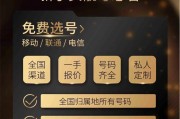 枣庄车牌手机靓号申请，开启个性出行新篇章