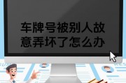 车牌号曝光，隐私安全如何保障？别人拍车牌号可能引发的惊人后果！