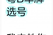 东莞车牌靓号，传世之选，待君品鉴
