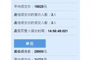 浙江车牌竞价全攻略：车牌竞价流程与技巧