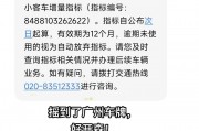 摇到靓号车牌，你愿意花多少钱？车牌号码背后的价值与商机